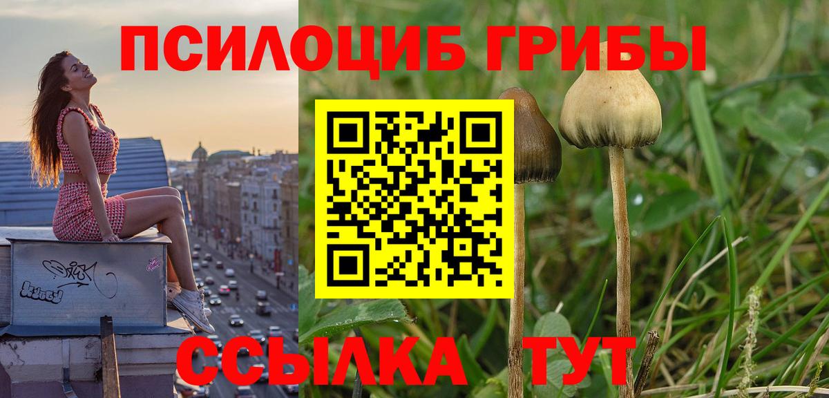 Галлюциногенные грибы ЛСД Карпинск