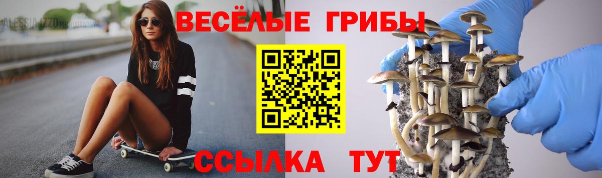 Галлюциногенные грибы Magic Shrooms  Вход с VPN  Карпинск  Псилоцибиновые грибы прущие грибы 